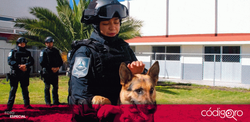 Sistema Penitenciario unidad k-9