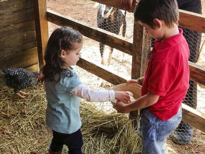 Es un lugar ideal para que los niños tengan contacto con animales de granja