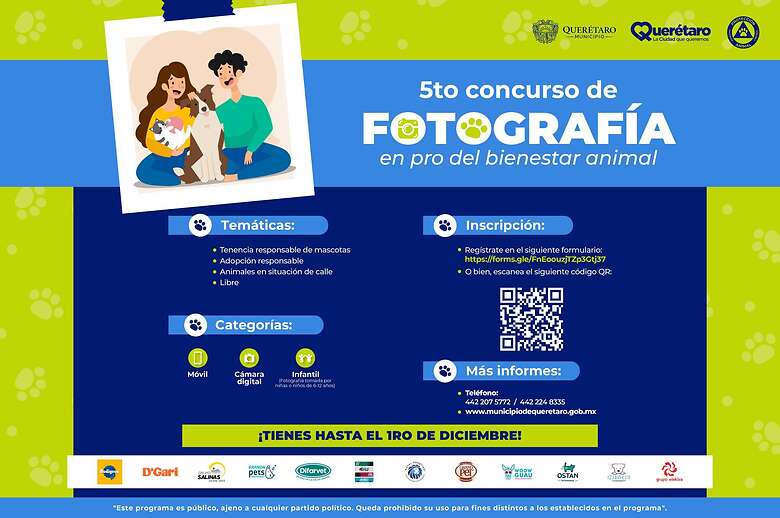Anuncian convocatoria para concurso de fotografía de bienestar animal. Foto: Especial