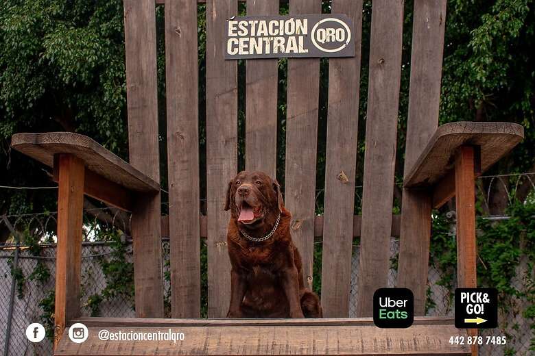 Las mesas tienen buena separación y si tu mascota es amigable, puede compartir con otros animalitos