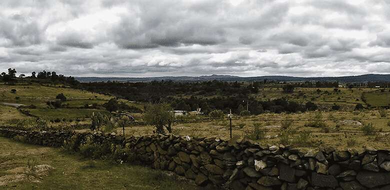 Los paisajes boscosos del municipio de Amealco de Bonfil. Foto: Especial