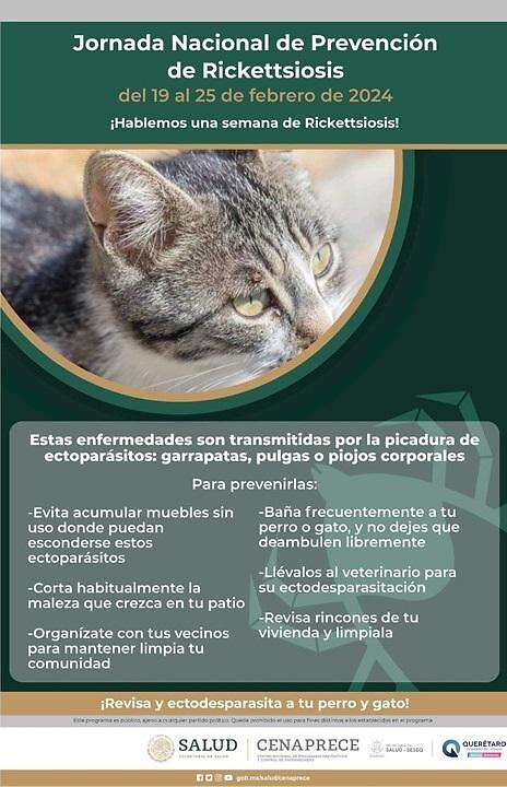 Del 19 al 25 de febrero se realiza la Jornada Nacional de Prevención de Rickettsiosis