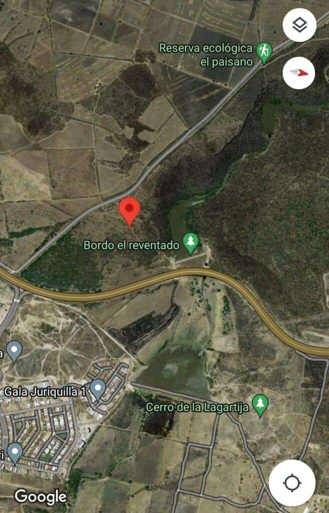 Ambientalistas Ambientalistas