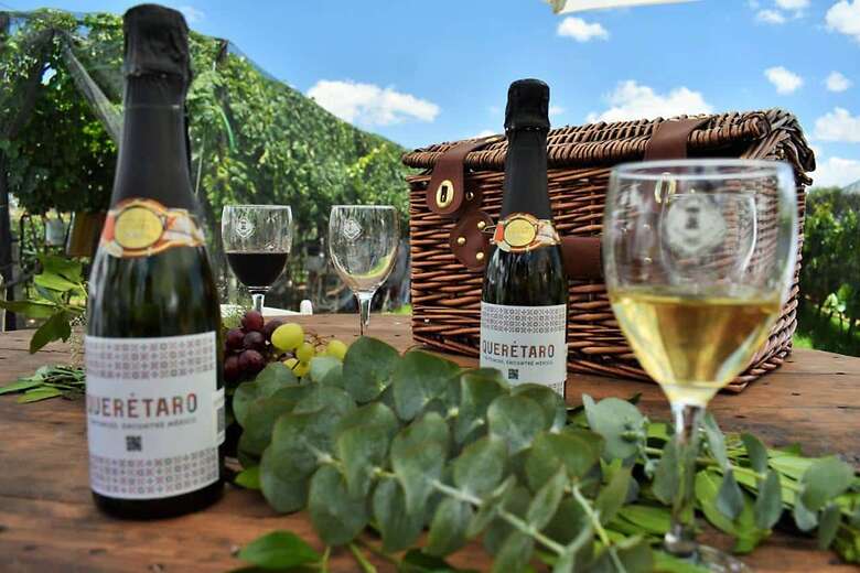 La secretaria de Turismo, Mariela Morán Ocampo, anunció la Temporada de Vendimias 2022 en Querétaro