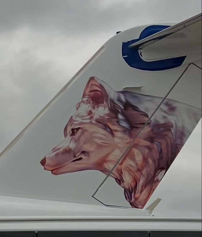 La actriz española viajó en el avión privado de Shakira, decorado con 'La Loba'