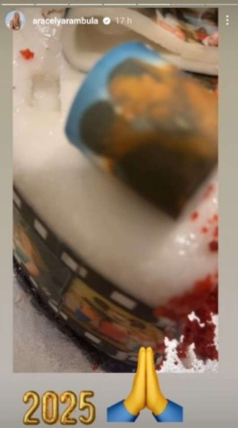 aracely arambula cumpleaños hijo miguel gallego