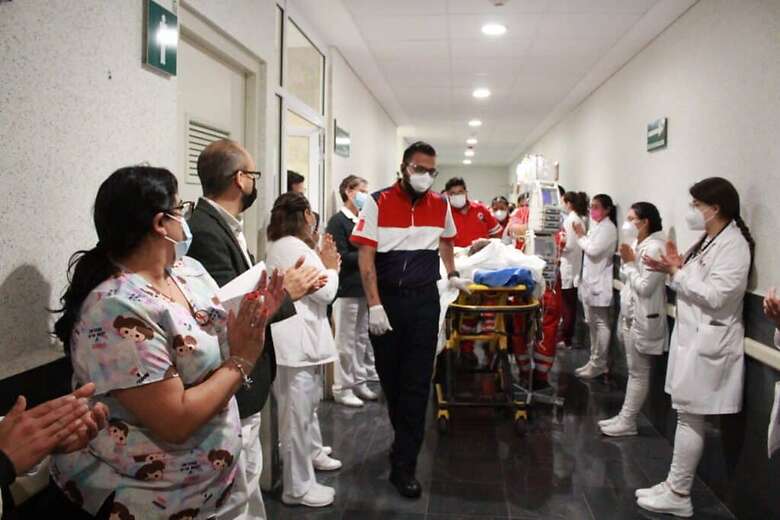 procuración multiorgánica procuración multiorgánica