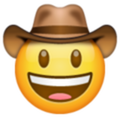 Emoji de sombrero de vaquero 1f920