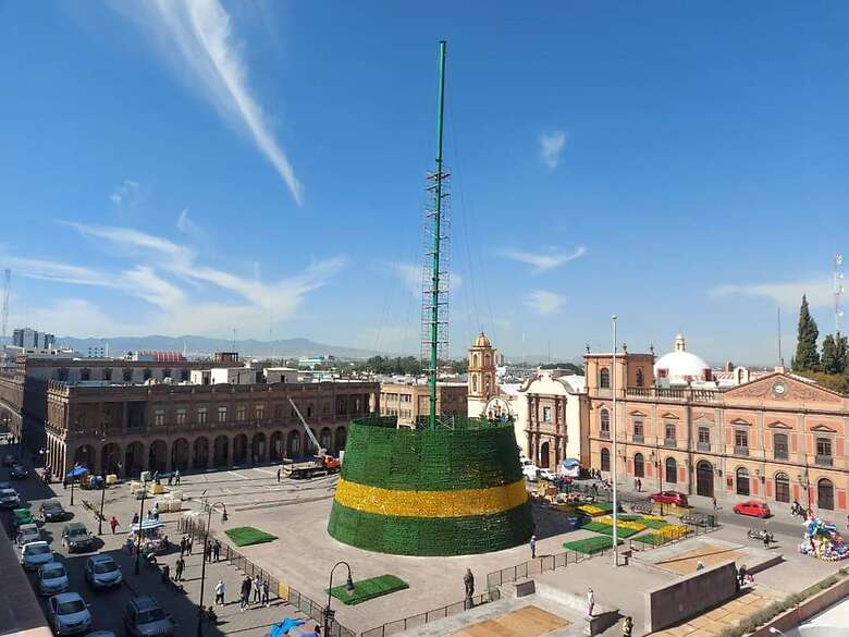 árbol árbol