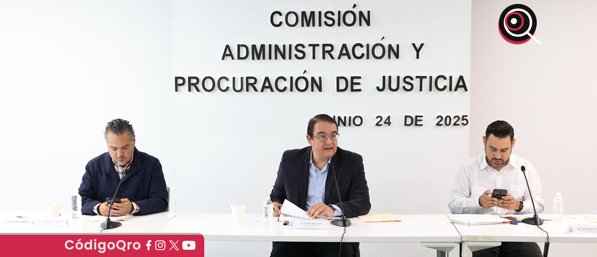 La Comisión de Administración y Procuración de Justicia aprobó que la violencia familiar contra mujeres embarazadas sea agravante. Foto: Especial