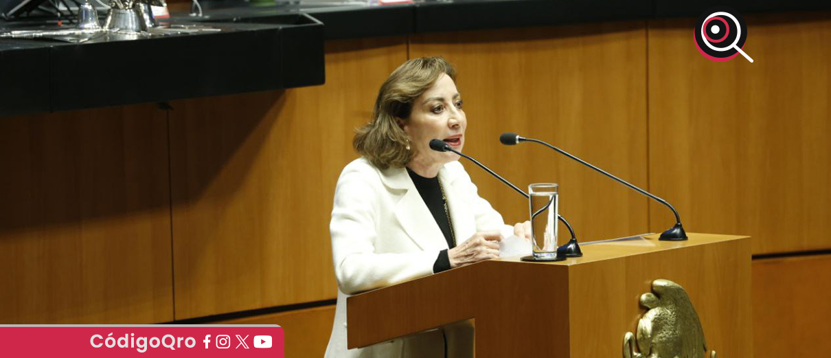 La senadora del PAN, Guadalupe Murguía, hizo un llamado para garantizar la transparencia en el proyecto del tren México-Querétaro. Foto: Especial