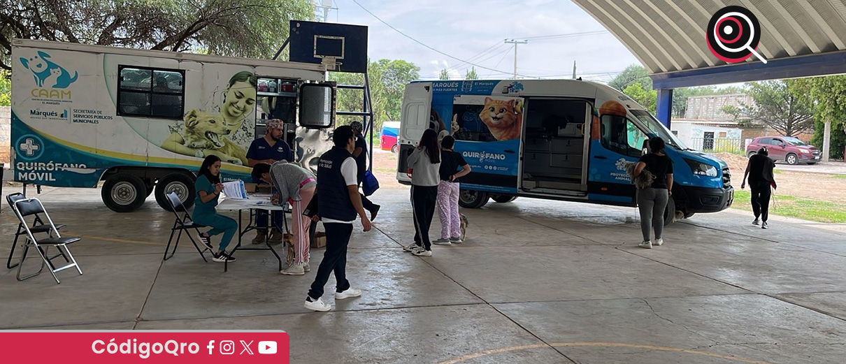 La Secretaría de Salud del Estado de Querétaro realizó una jornada de esterilización. Foto: Especial