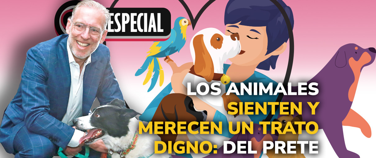 Los animales sienten y merecen un trato digno: Del Prete