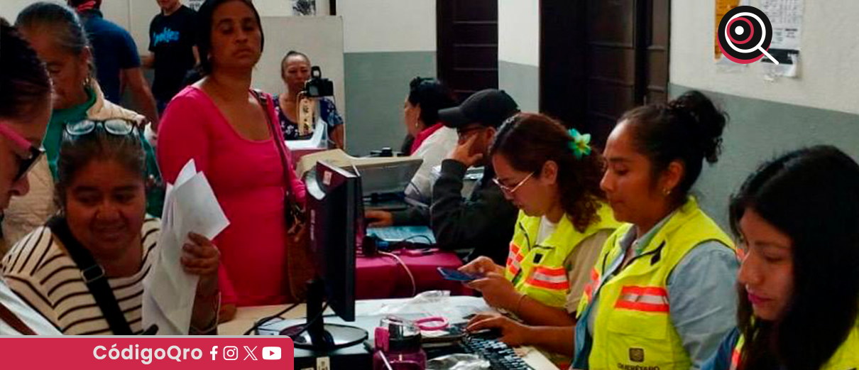 módulos, transporte comunitario gratuito,