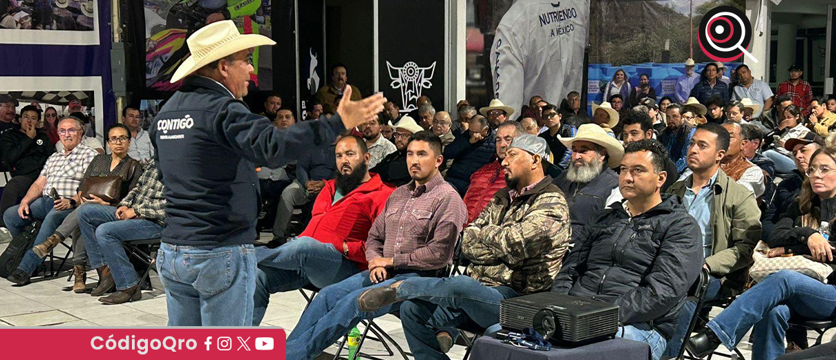 Sedea, reunión, combatir, gusano barrenador,
