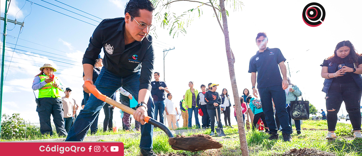 reforestan, camellón, Av. Del Jacal, Corregidora,