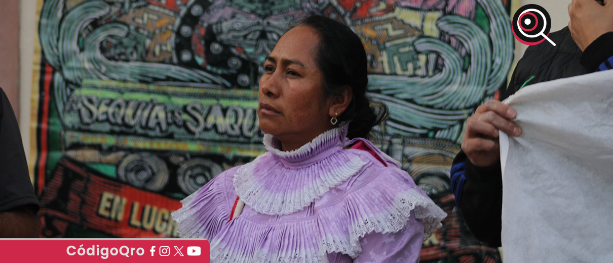 La Red Nacional de Defensoras de Derechos Humanos pidió proteger a Estela Hernández. Foto: Especial