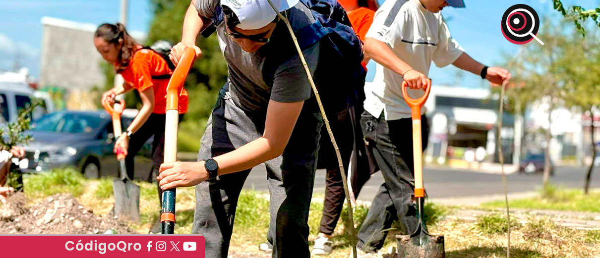 Según Guadalupe Espinosa estas acciones forman parte de una instrucción directa del alcalde Felipe Fernando Macías para crear “pulmones urbanos” en distintos puntos del municipio / Foto: Cortesía