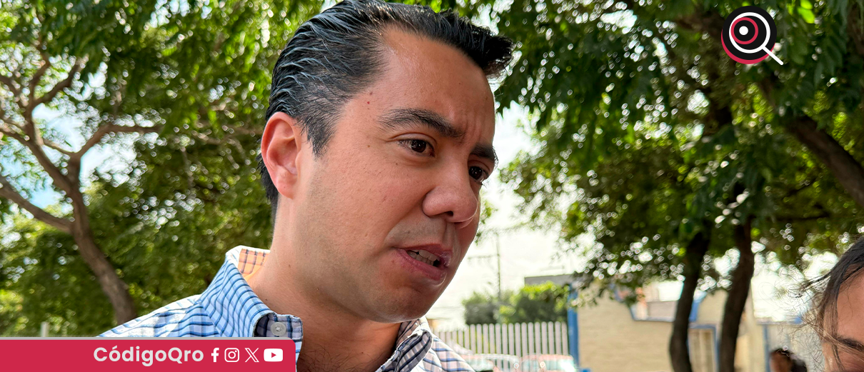 Felifer, fortalecer, democracia, representación,