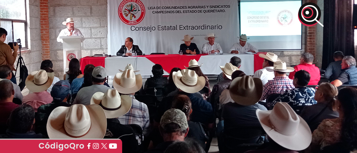 CNC Querétaro, convocatoria, renovar, comités,