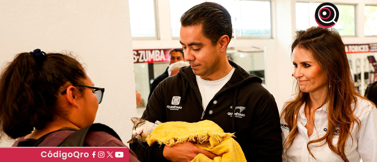 Redoblan acciones de cuidado y protección de animales de compañía. Foto: Especial