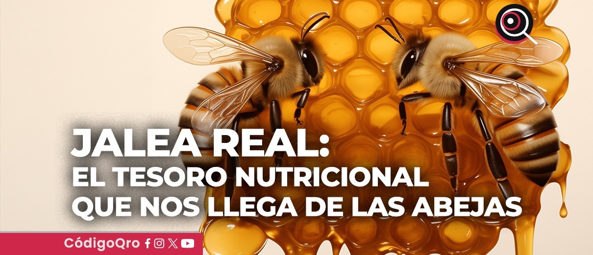 Jalea real, abejas, panal