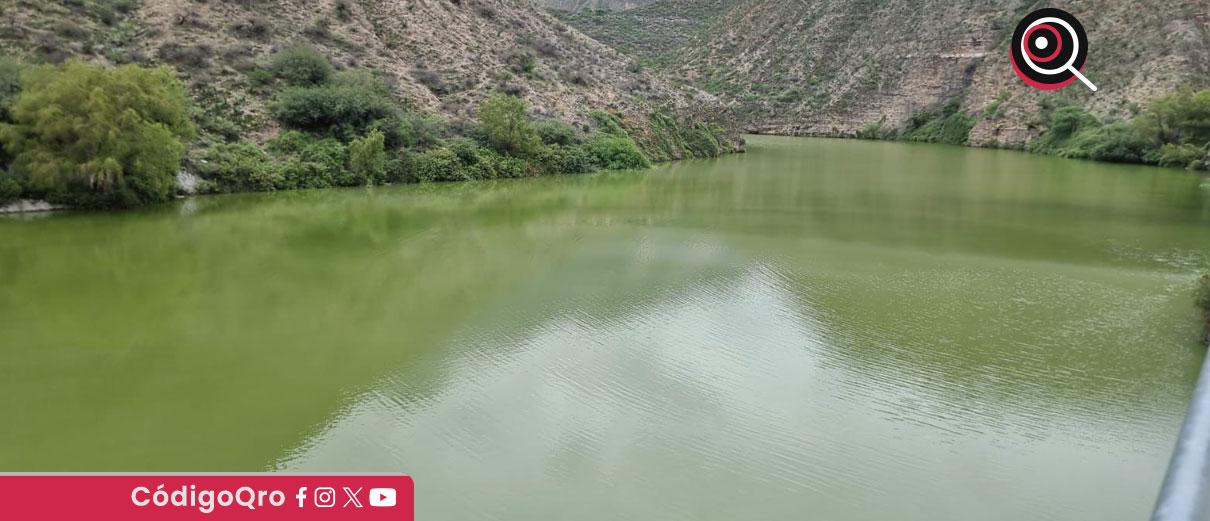 Para este día, se esperan chubascos con lluvias fuertes de entre 25 y 50 milímetros, acompañadas de descargas eléctricas, caída de granizo y rachas de viento de hasta 50 kilómetros por hora / Foto: Cortesía
