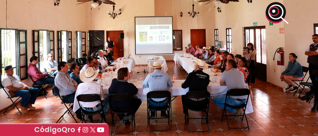 Sedea, reunión, prevención, gusano barrenador, semidesierto,
