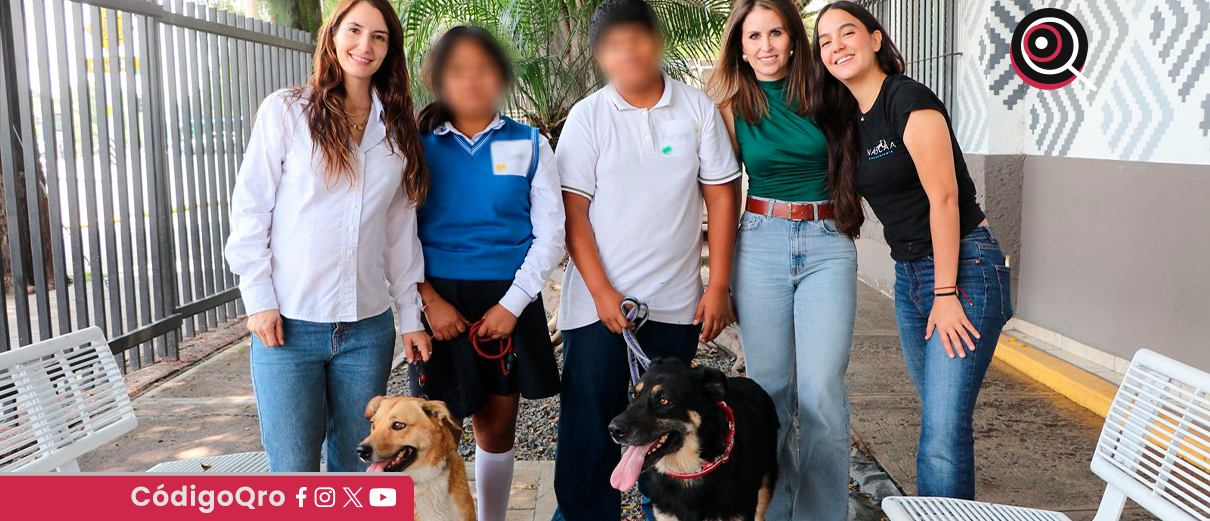 entrenarán, perros rescatados, Secretaría de Bienestar Animal,