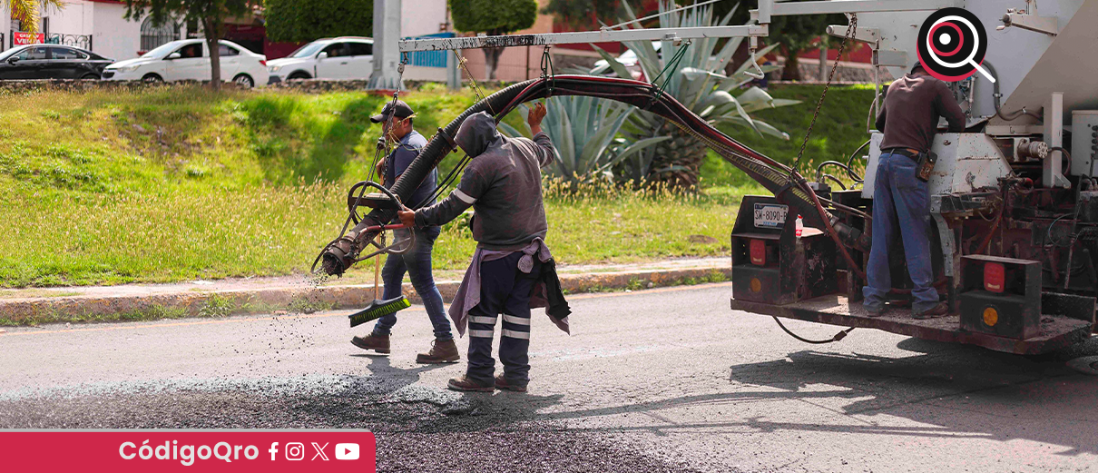 Brigada Antibaches, atiende, mil 180 reportes, Corregidora,