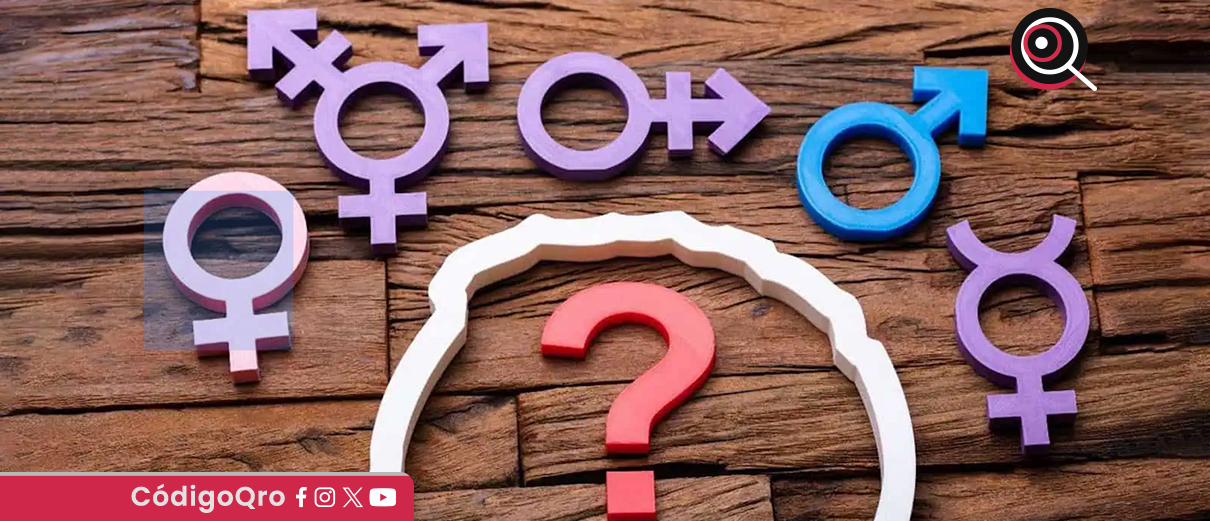 DDHQ presentó una iniciativa de Ley de Identidad de Género. Foto: Especial