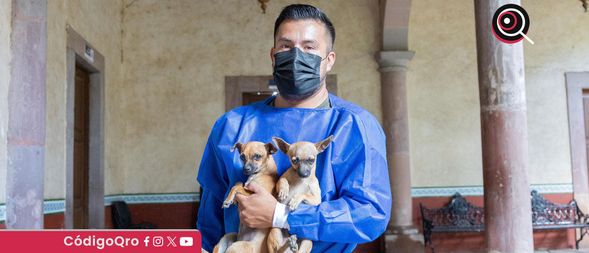 Corregidora informó que la campaña “Esteriliza y Protege” seguirá hasta diciembre / Foto: Cortesía