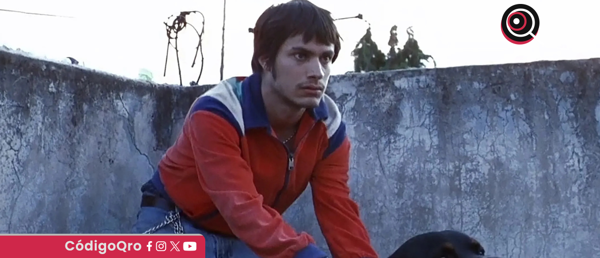 Amores Perros