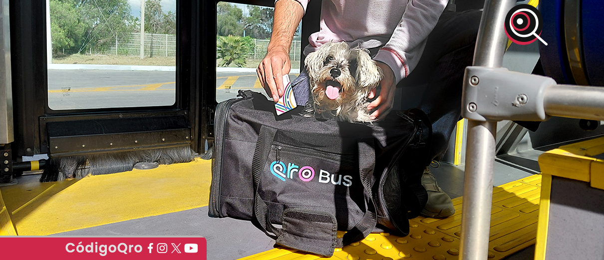 El titular de AMEQ, Gerardo Cuanalo Santos, anunció que el Sistema Qrobús ya es pet friendly. Foto: Mónica Gordillo
