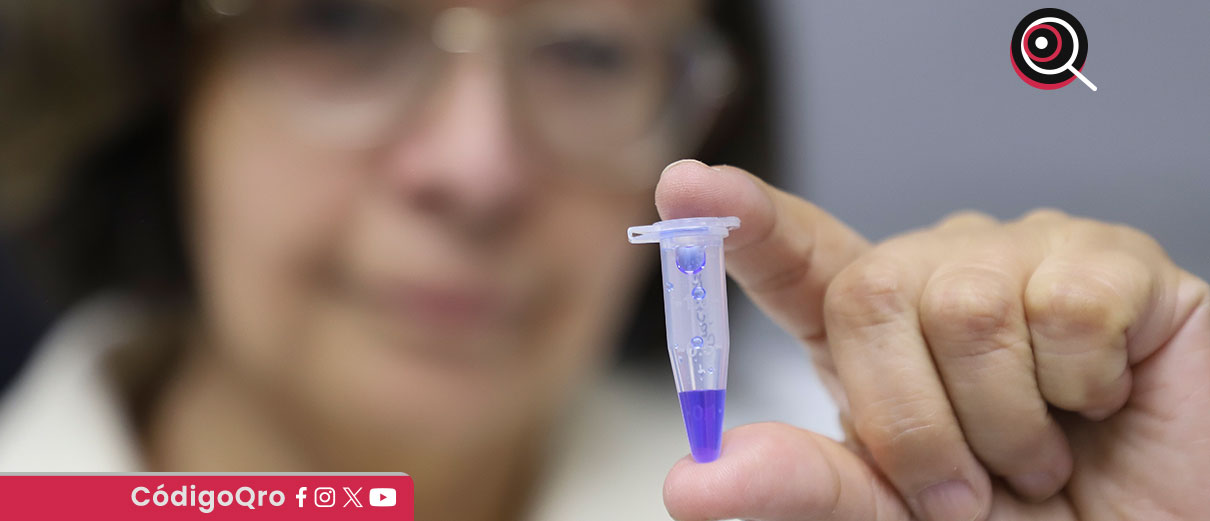 La UAQ prevé continuar con este programa en el próximo semestre y extenderlo a otras especialidades como Biotecnología, Ingenierías y Ciencias Naturales / Foto: Cortesía