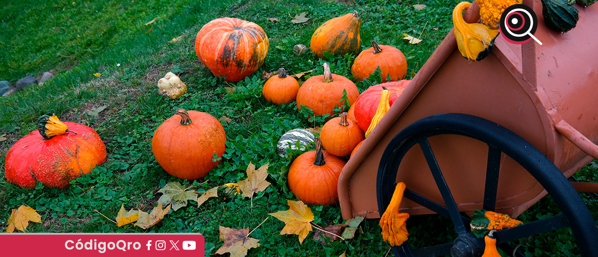 calabaza
