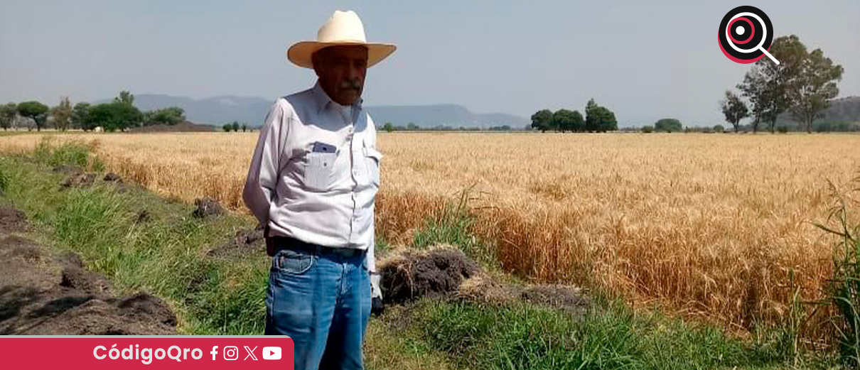 productores, campo, contingencia, lluvias, Querétaro,