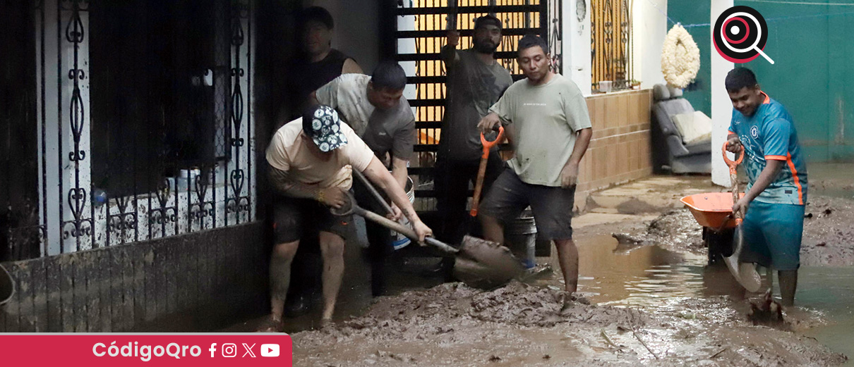 INE centros de acopio