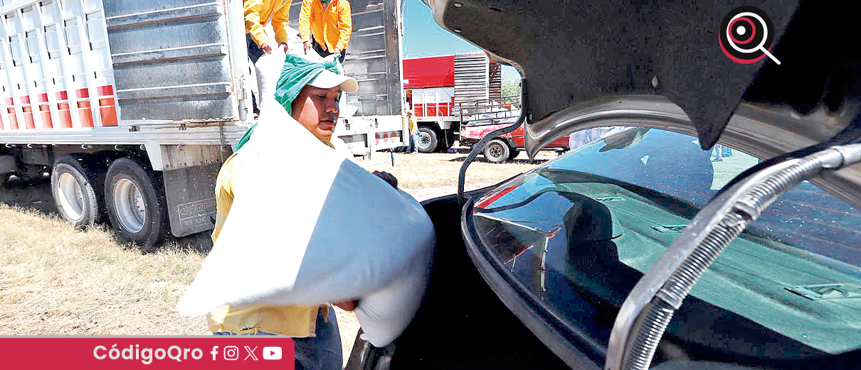 apoyos, Sedea, productores, Colón,