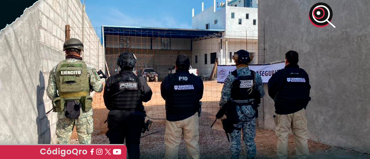 16 cateos, detienen, 11 personas,