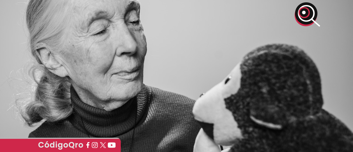 Netflix, Famous Last Words, Jane Goodall