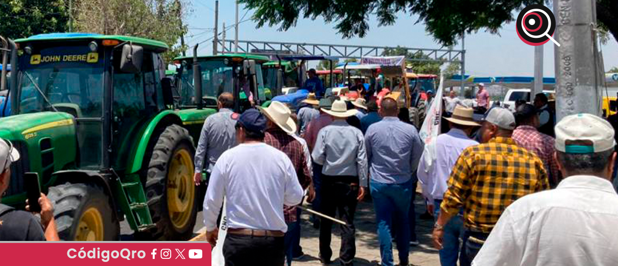 agricultores, productores, precio, maíz,