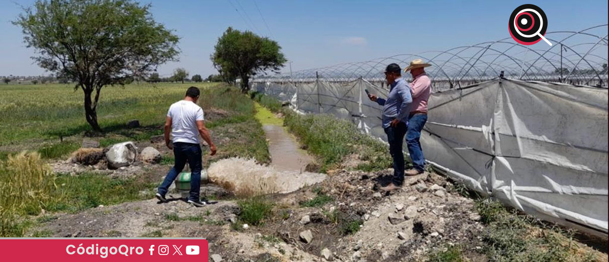 uso de agua, productores agrícolas, Decreto de Facilidades Administrativas, Conagua