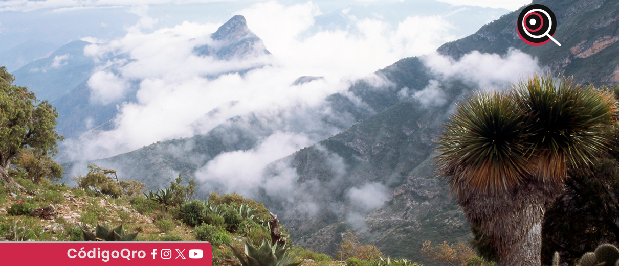 Solo que una escuela afectada por las lluvias en la Sierra Gorda