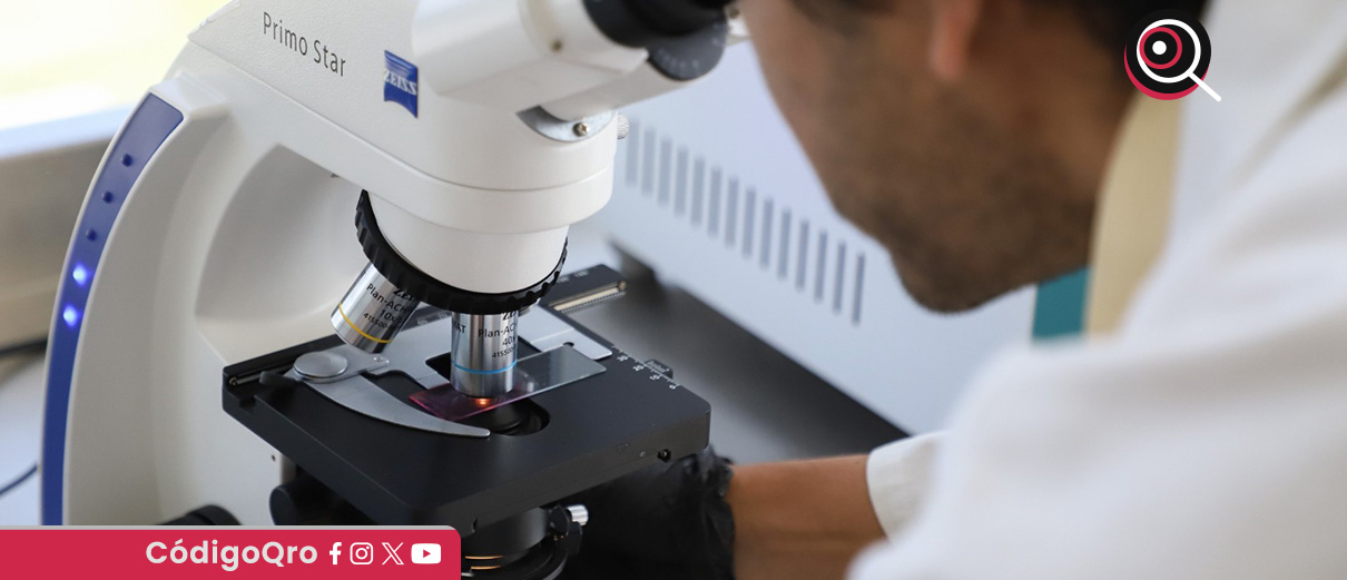 La UAQ avanza en el desarrollo de anticonceptivos masculinos