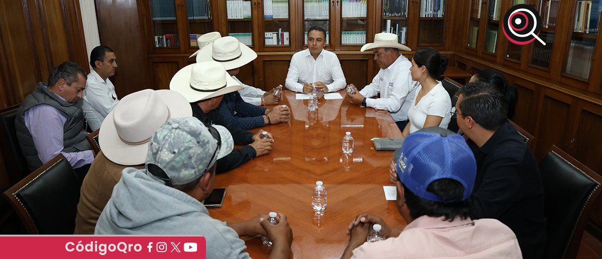 Anuncian apoyos para productores de maíz