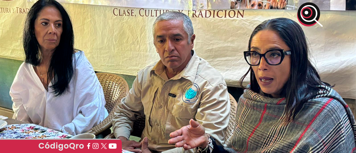 activistas, IMPA, El Marqués,