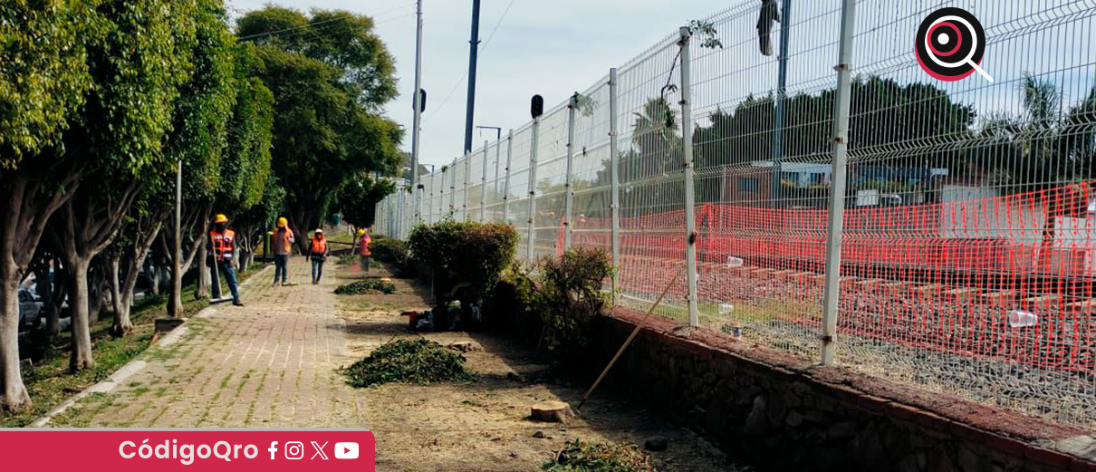 Derribaron 48 árboles del parque lineal de la colonia Las Hadas