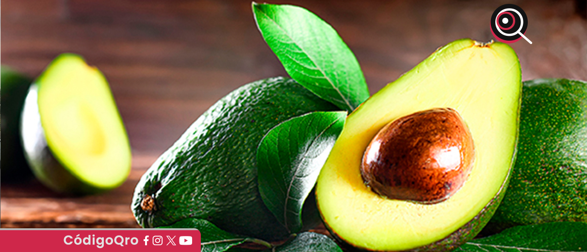 Trump, quita, aranceles, aguacate,