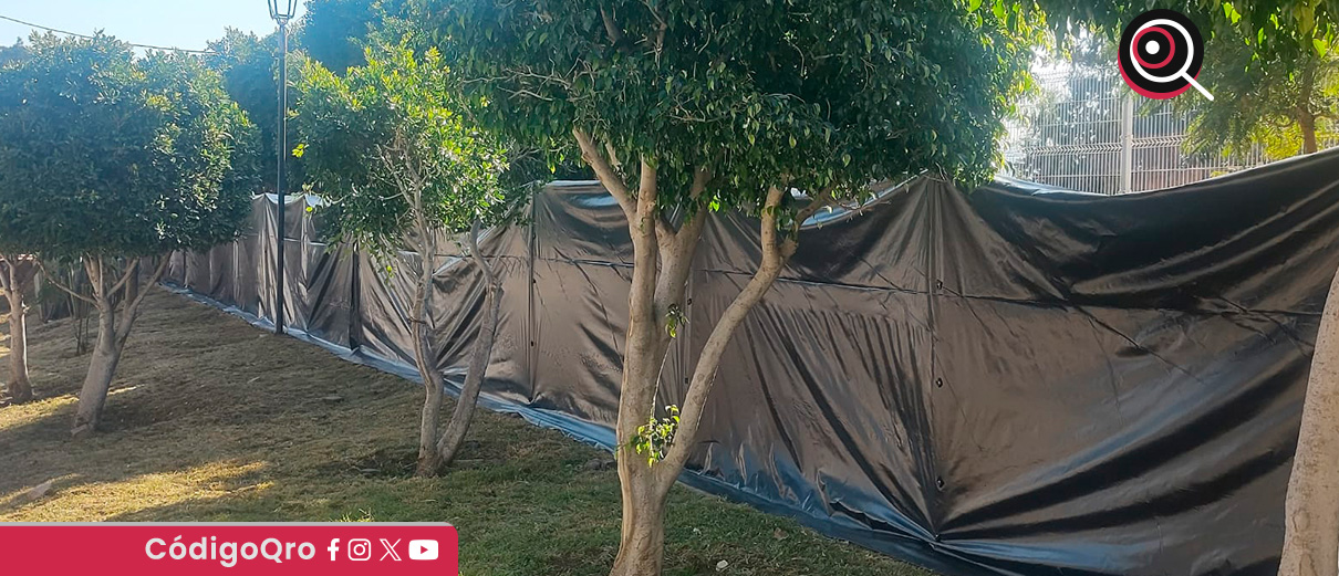 Habitantes de la colonia Las Hadas siguen inconformes por la remoción de árboles